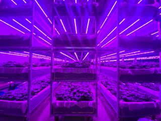 남도와사비님의 자유주제 · 자유게시판 작성글 사진