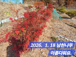 박성민님의 자유주제 · 자유게시판 작성글 사진