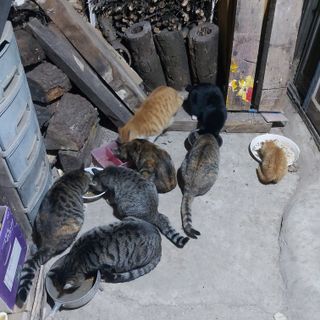 가로수님의 자유주제·자유게시판 작성글 사진