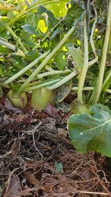 팜모닝 자유주제·자유게시판 게시글 이미지