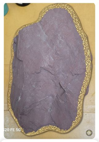 정찬영님의 자유주제 · 자유게시판 작성글 사진