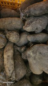 팜모닝 · 게시글 이미지