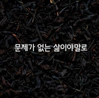 (팽나무*공주)님의 자유주제 · 자유게시판 작성글 사진