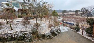 달맛햇복숭아농원님의 자유주제 · 자유게시판 작성글 사진