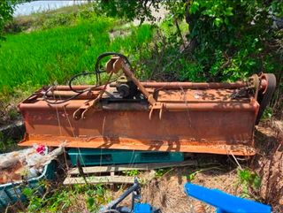 님의 자유주제·사진전 작성글 사진