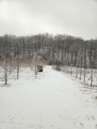 행복농원님의 자유주제 · 자유게시판 작성글 사진