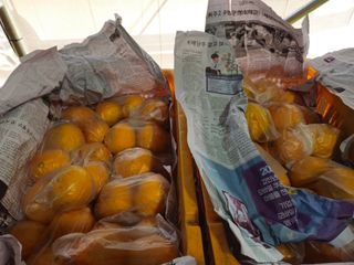 새달귤농장님의 자유주제 · 자유게시판 작성글 사진