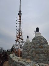 팜모닝 자유주제·자유게시판 게시글 이미지