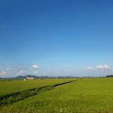 팜모닝 자유주제·자유게시판 게시글 이미지