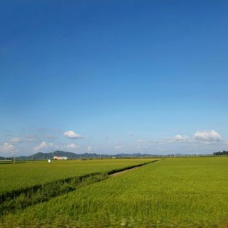 대산농사대장님의 자유주제 · 자유게시판 작성글 사진