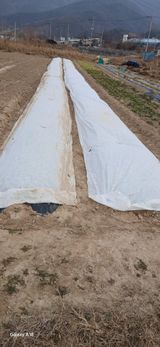 팜모닝 자유주제·자유게시판 게시글 이미지