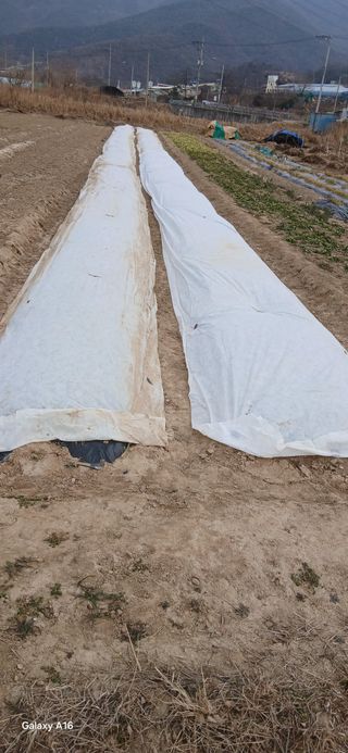 화재농사초보님의 자유주제 · 자유게시판 작성글 사진