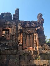 팜모닝 자유주제·사진전 게시글 이미지