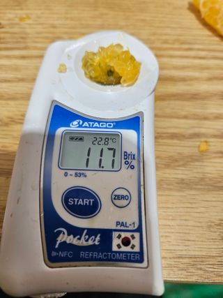 새달귤농장님의 자유주제 · 자유게시판 작성글 사진