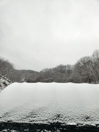 행복농원님의 자유주제 · 자유게시판 작성글 사진