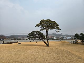 조철형님의 자유주제 · 자유게시판 작성글 사진