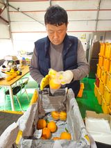 팜모닝 자유주제·자유게시판 게시글 이미지