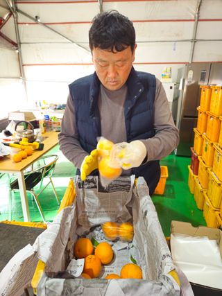 새달귤농장님의 자유주제 · 자유게시판 작성글 사진