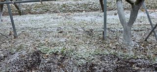 달맛햇복숭아농원님의 자유주제 · 자유게시판 작성글 사진