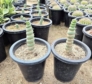 주사모님의 자유주제 · 자유게시판 작성글 사진