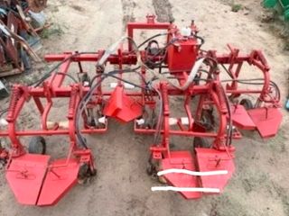 님의 자유주제 · 사진전 작성글 사진