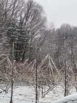 팜모닝 자유주제·자유게시판 게시글 이미지