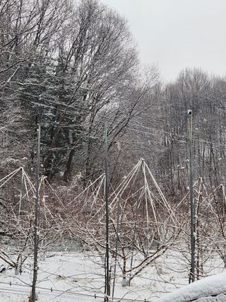 행복농원님의 자유주제 · 자유게시판 작성글 사진