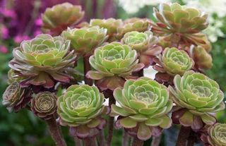 주사모님의 자유주제 · 자유게시판 작성글 사진