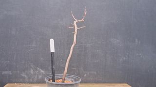 이정운님의 자유주제 · 자유게시판 작성글 사진