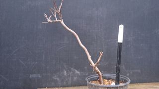 이정운님의 자유주제 · 자유게시판 작성글 사진