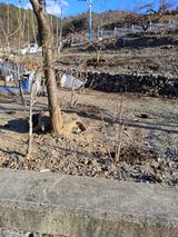 김용대님의 자유주제·자유게시판 작성글 사진