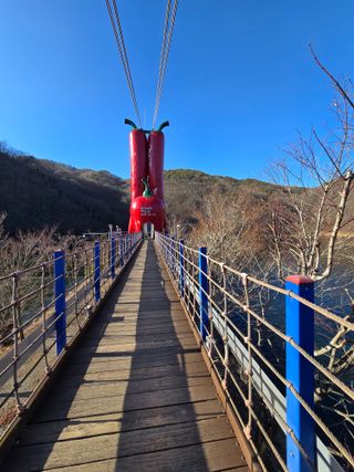 조철형님의 자유주제 · 자유게시판 작성글 사진