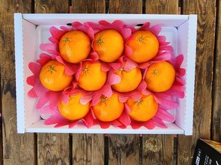 제주부자팜님의 자유주제 · 자유게시판 작성글 사진