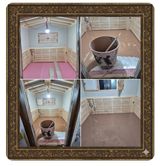 정찬영님의 자유주제·자유게시판 작성글 사진