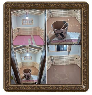 정찬영님의 자유주제 · 자유게시판 작성글 사진