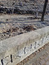 팜모닝 자유주제·자유게시판 게시글 이미지