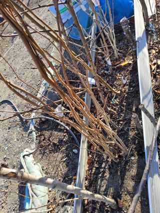 김용대님의 자유주제 · 자유게시판 작성글 사진