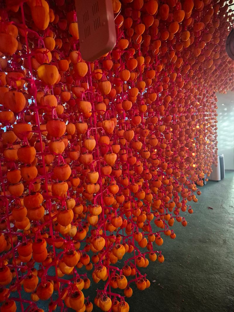 사과와곶감님의 장터 판매 상품 [함양고종시 선물용 32구] 첨부 사진