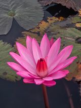 팜모닝 자유주제·자유게시판 게시글 이미지