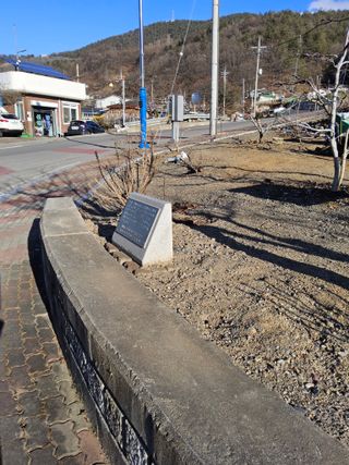 김용대님의 자유주제 · 자유게시판 작성글 사진