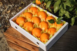 양애숙님의 작성글 사진