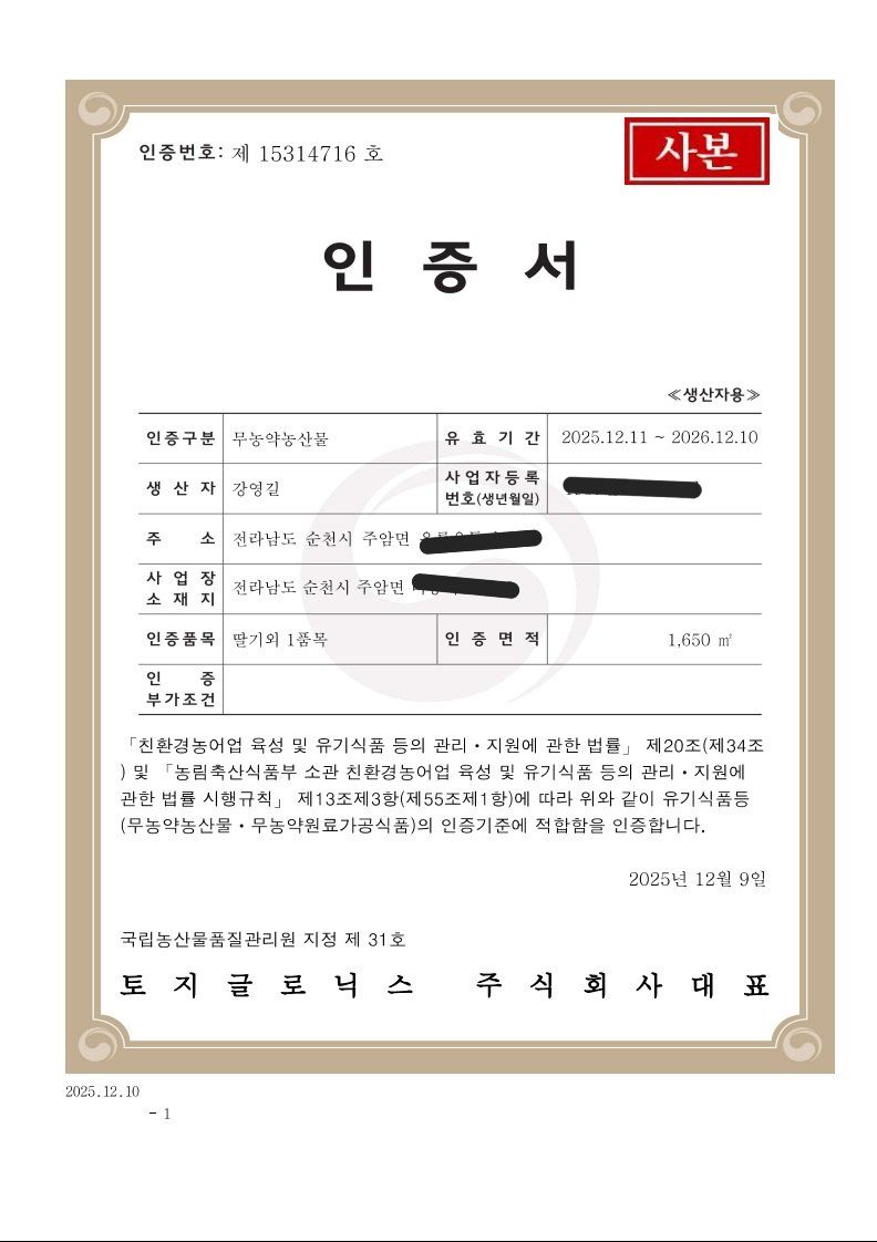 강미향님의 장터 판매 상품 [무농약딸기] 첨부 사진