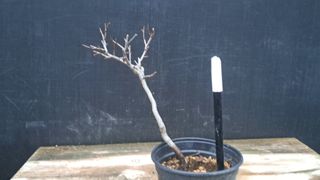 이정운님의 자유주제 · 자유게시판 작성글 사진