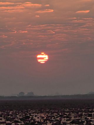 최동수님의 자유주제 · 자유게시판 작성글 사진