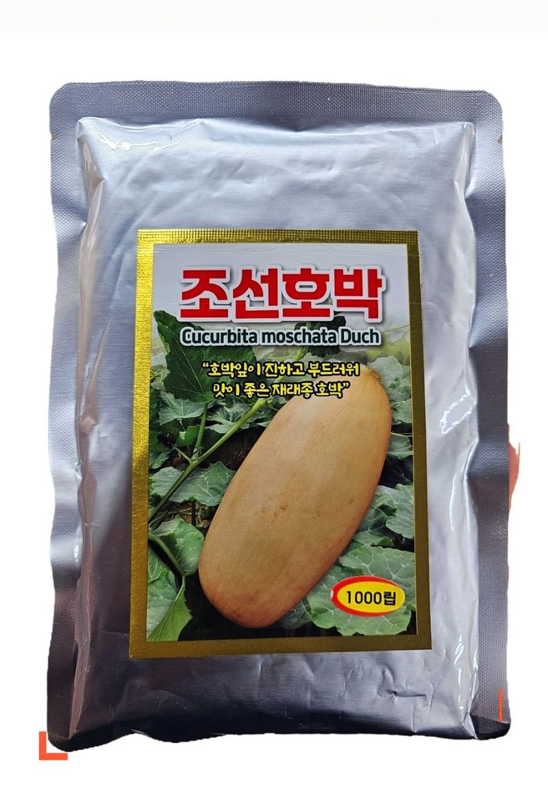장터 상품 [조선호박씨앗 재래종호박씨앗] 썸네일
