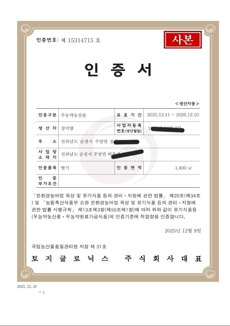 강미향님의 장터 판매 상품 [무농약딸기] 첨부 사진