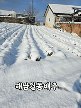 팜모닝 자유주제·자유게시판 게시글 이미지