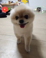 팜모닝 자유주제·자유게시판 게시글 이미지