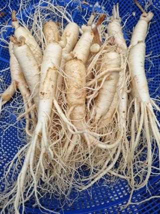 모두팜님의 작성글 사진