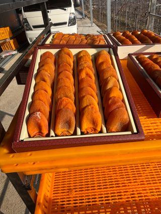 사과와곶감님의 작성글 사진